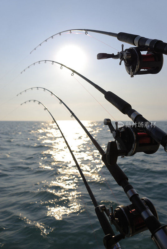 日出/日落水上的鱼竿和鱼轮